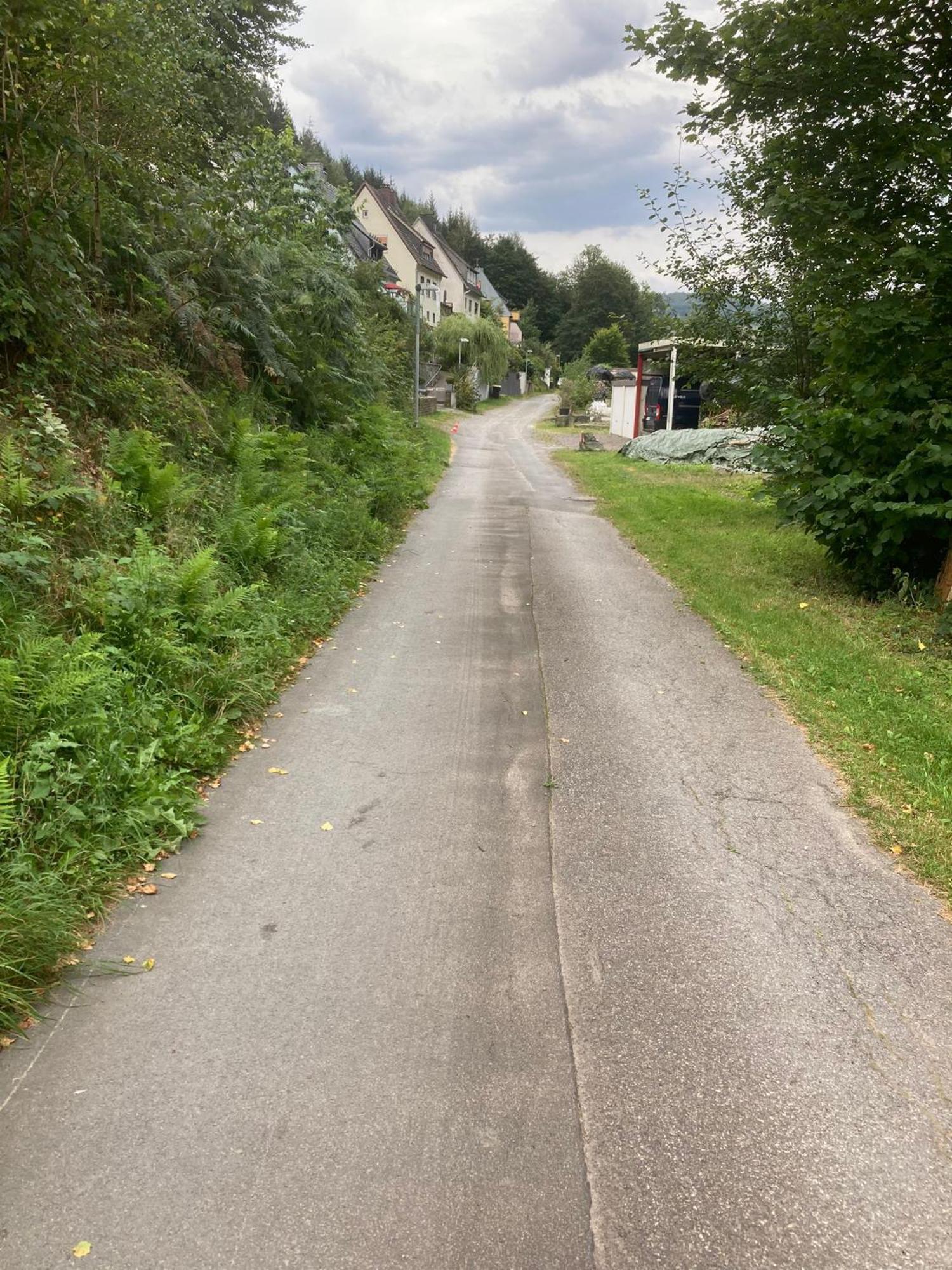 Schoene Ferienwohnung In Ruhiger Lage Altena Bagian luar foto